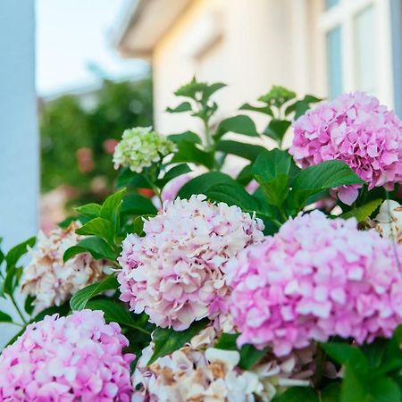 Apartments Paradise Улцинь Экстерьер фото